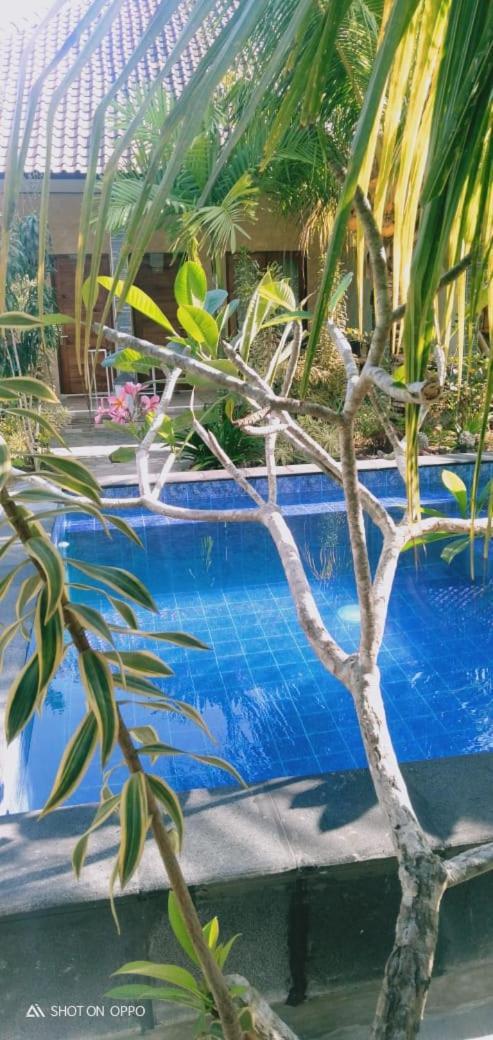 Belong Home Stay Lembongan Екстер'єр фото