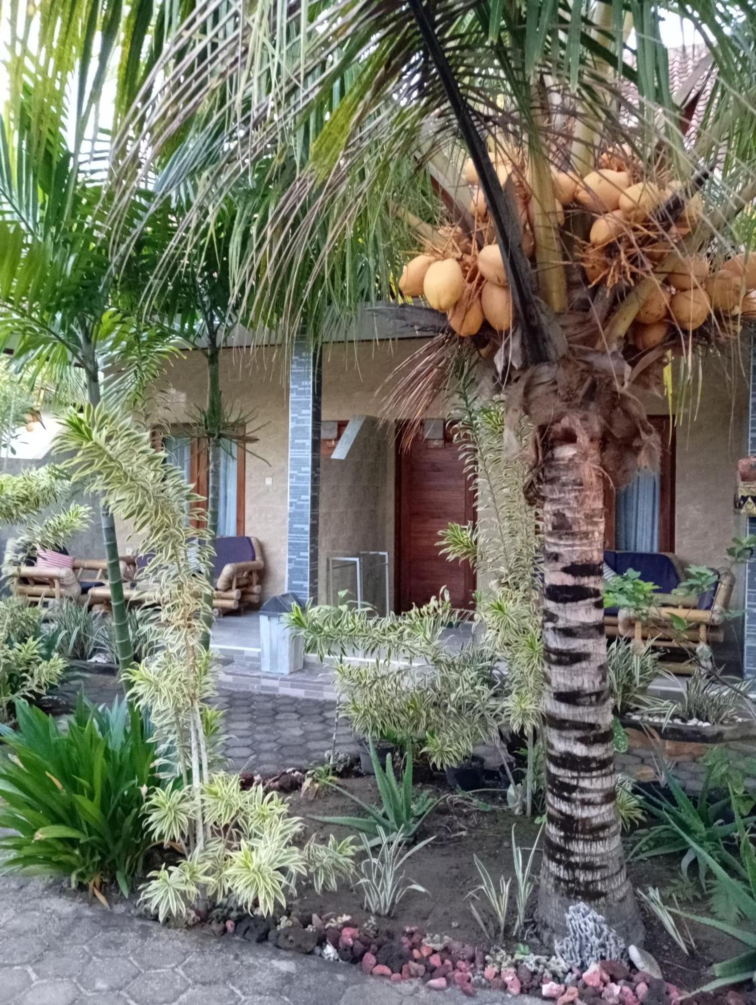 Belong Home Stay Lembongan Номер фото